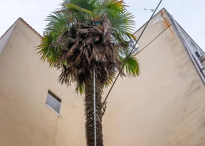 Апартаменты Casa Pino - Duplex In Town