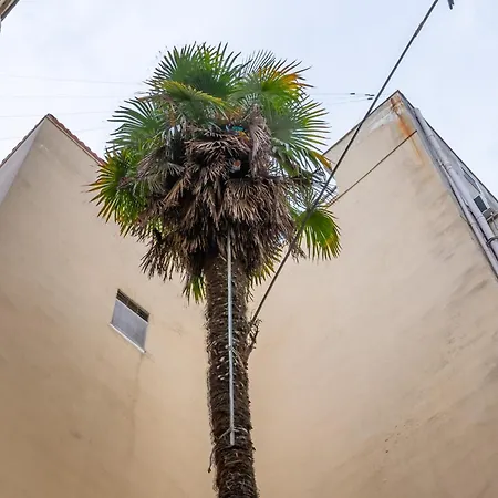 Apartmán Casa Pino - Duplex In Town